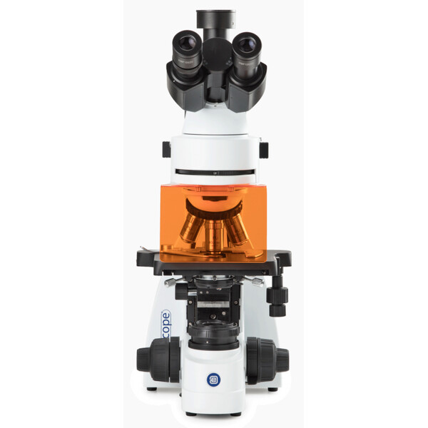 Euromex Microscópio BS.3153-PLFi, trino, 40x-1000x