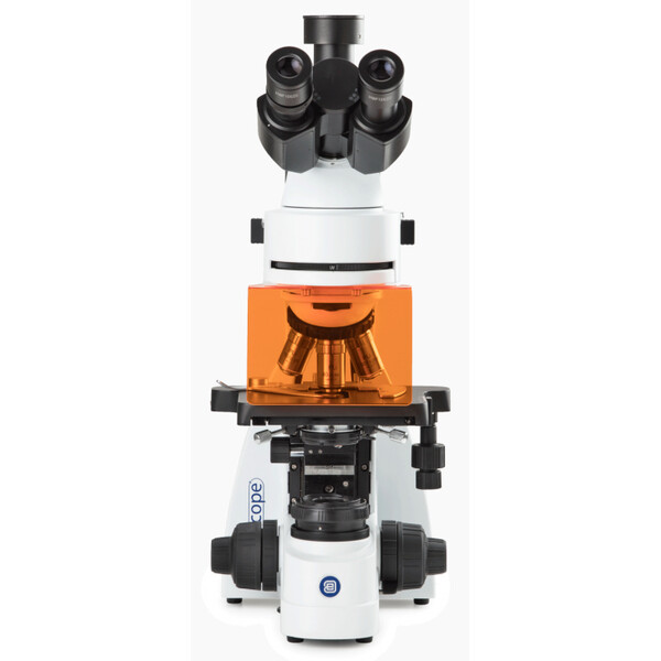 Euromex Microscópio Mikroskop BS.3153-PLFi, trino, 40x-1000x