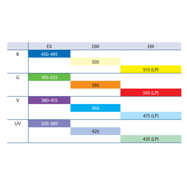 Euromex Microscópio BS.3153-PLFi, trino, 40x-1000x