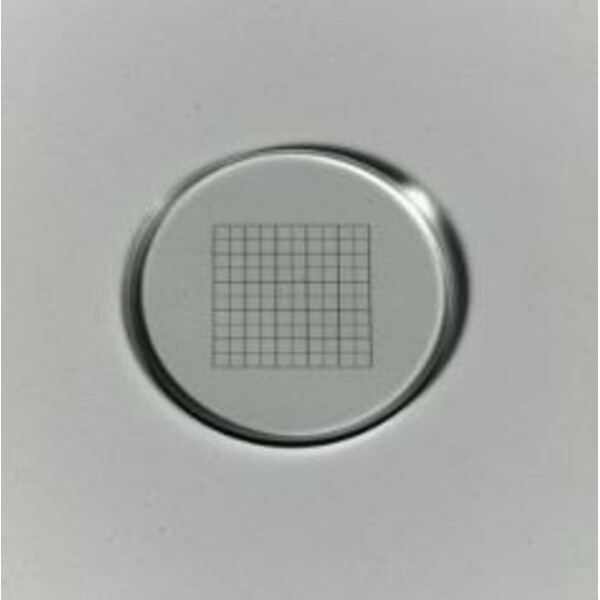 ZEISS Micrómetro de malha 12,5x12,5/5;10, d=26 mm