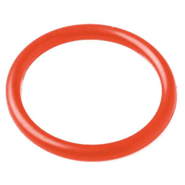 Lunt Solar Systems O-ring para o sintonizador de pressão dos Telescópios Solares LS50THa