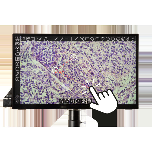 Euromex Câmera VC.3043 HDS, UHD, 8,3 MP, 1/1,8 polegadas, sensor de cor 4K, ecrã tátil de 13 polegadas, 30 fps HDMI, 20 fps USB