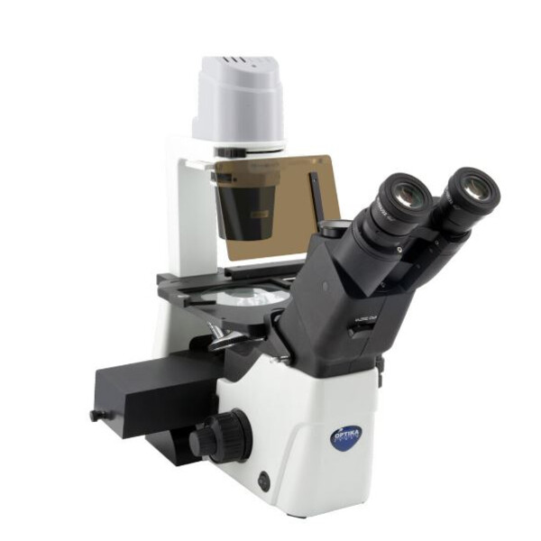 Microscópio invertido IM-300LD4, FL, trino, inverso, INFINITY, plano, 100x-400x, 10x/22, Al/Dl, LED, 8W