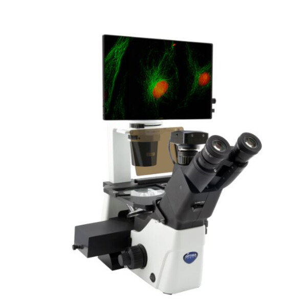 Microscópio invertido IM-300LD4D Digital Inverted LED fluorescence microscope, 400x, IOS LWD PLAN F, 4 empty filterset slots