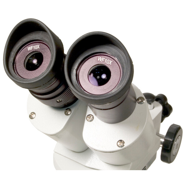 Levenhuk Microscópio stéreo 3ST 20-40x Halogen