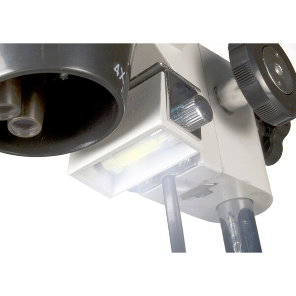 Levenhuk Microscópio stéreo 3ST 20-40x Halogen