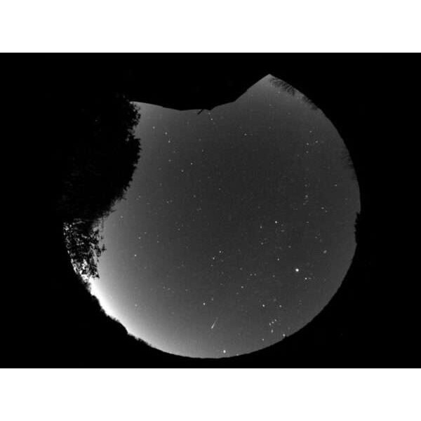 Starlight Xpress Câmera Oculus PRO All Sky 180° Mono