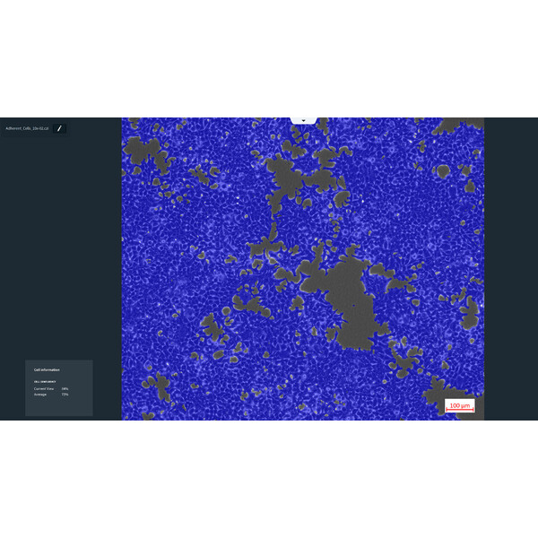 ZEISS Software Labscope Módulo AI Cell Confluency DLic