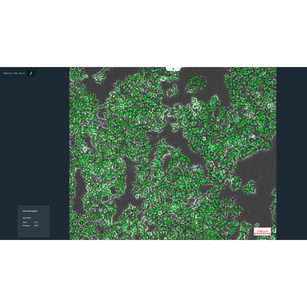 ZEISS Software Labscope Módulo AI Cell Counting DLic