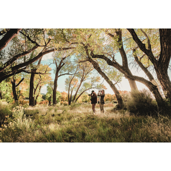 Swarovski Luneta AT Balance 18-45x65