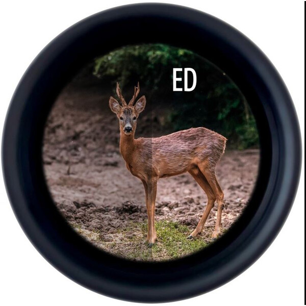 Minox Binóculo X-Tour 8x26