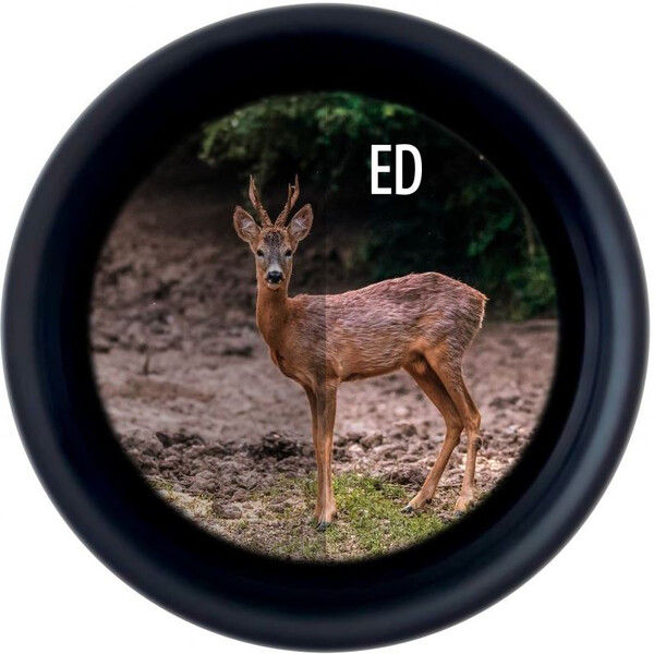 Minox Binóculo X-Tour 10x42