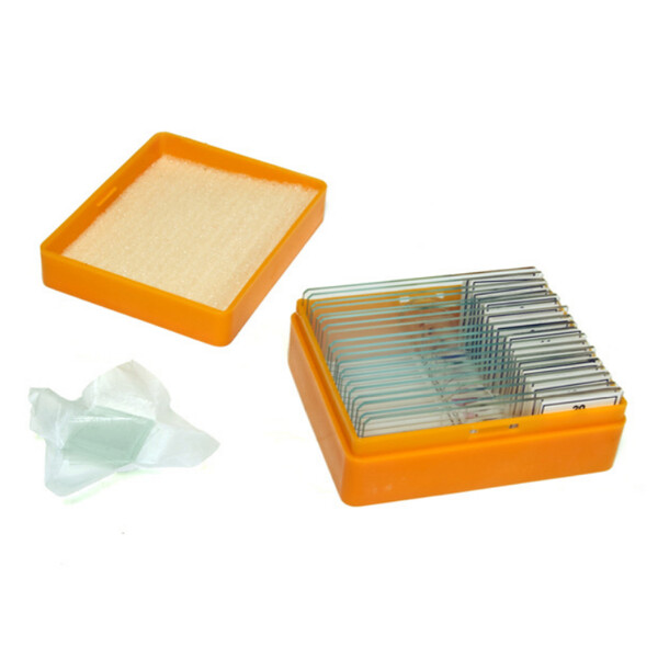 Levenhuk Lâminas preparadas N20 NG