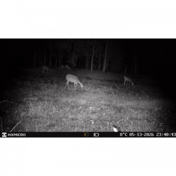 HIKMICRO Câmera foto selvagem T16