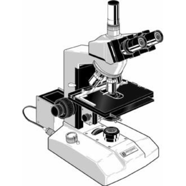 Euromex Microscópio GE.3035