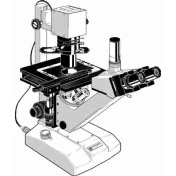 Euromex Microscópio FE.2955, inverso