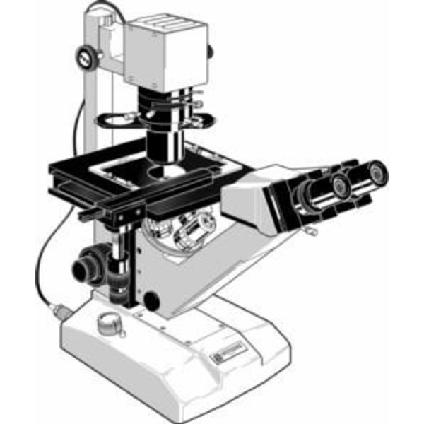 Euromex Microscópio FE.2950, inverso
