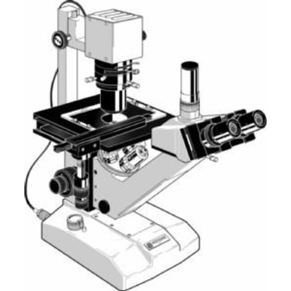 Euromex Microscópio FE.2935, inverso