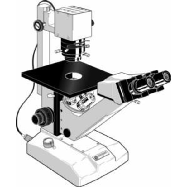 Euromex Microscópio FE.2910, inverso
