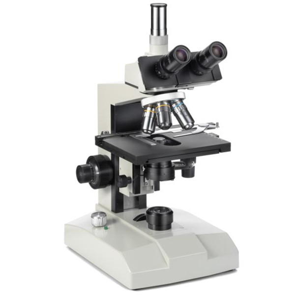 Euromex Microscópio FE.2540 com mesa aquecida