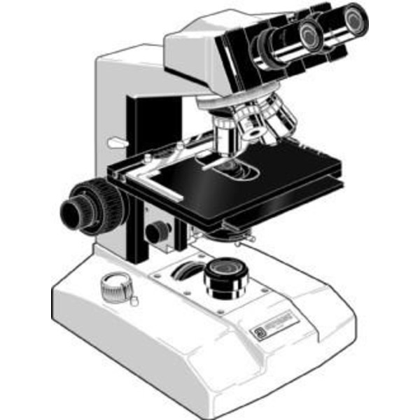 Euromex Microscópio FE.2040