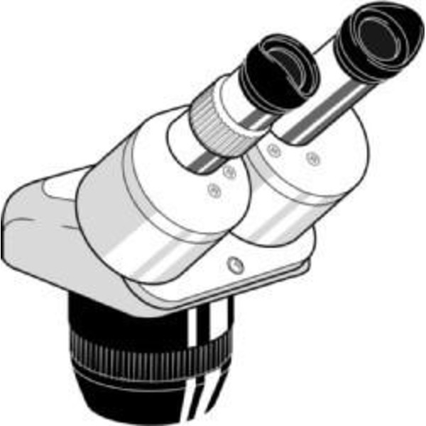 Euromex Microscópio estéreo zoom Cabeça stereo EE.1523, binocular