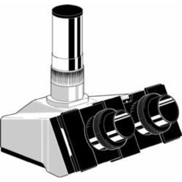 Euromex Microscópio Visão diagonal AE.1115