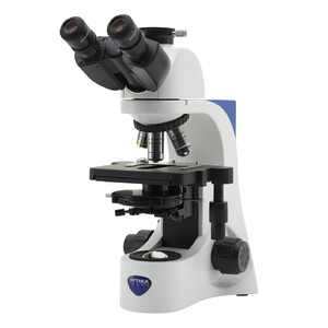Optika Microscópio B-383PH, trino, fase, B+W, DIN, 40x-1000x