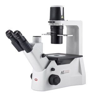 Motic Microscópio invertido AE2000 trino, infinity, 40x-400x, phase, Hal, 30W