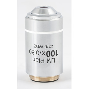 Motic objetivo Objetiva 100x/0.8 (AA=2mm), CCIS LM Plano Achromat.