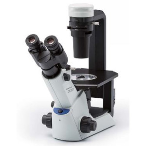Evident Olympus Microscópio invertido Olympus CKX53 Hellfeld V1, trino, 40x, 100x,
