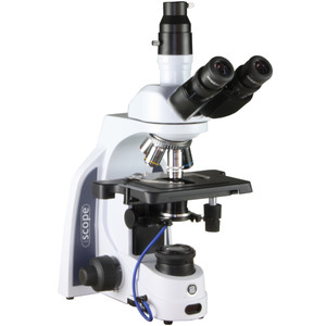 Euromex Microscópio iScope IS.1153-PLi/DF, trino, HF, DF, infinity, plan, 40-1000x, LED