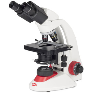 Motic Microscópio RED230, bino