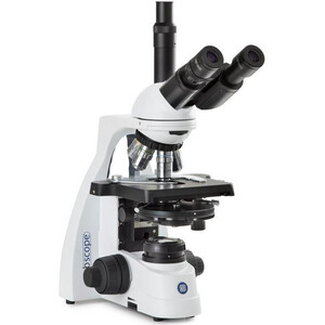 Euromex Microscópio BS.1153-PLPHi, trino, 40x-1000x