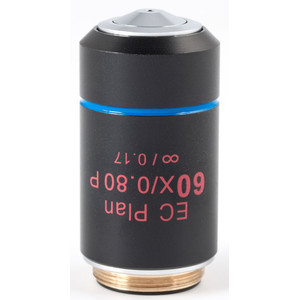 Motic Objetivo EC PL P, CCIS, plan, achro, (spannungsfrei) 60x/0.80, S, w.d. 0.35mm (BA-310 POL)