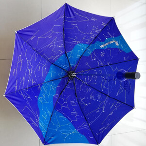 Lacerta Guarda-chuva SkyUV