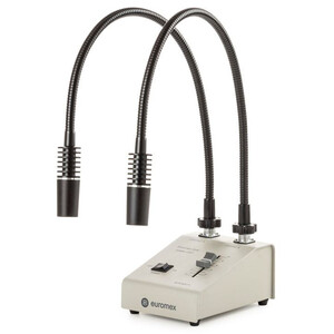 Euromex Fonte de luz LE.5207, com 2 Condutores de luz Pescoço de cisne 2x3W, 6500K