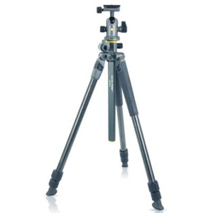 Vanguard Tripé de carbono Alta Pro 2+ 263CB 100