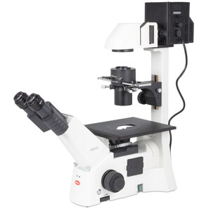 Motic Microscópio invertido AE31E bino, infinity, 40x-400x, phase, Hal, 100W