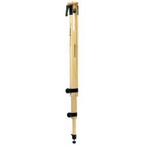 Berlebach Modelo 113
