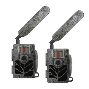 ZEISS Câmera foto selvagem Secacam 5 (embalagem de 2)