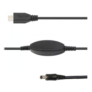 Ikarus Technologies Cabo 12V DC 2.1mm / 5V USB-C