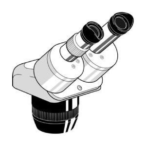 Euromex Microscópio estéreo zoom Cabeça stereo EE.1523, binocular
