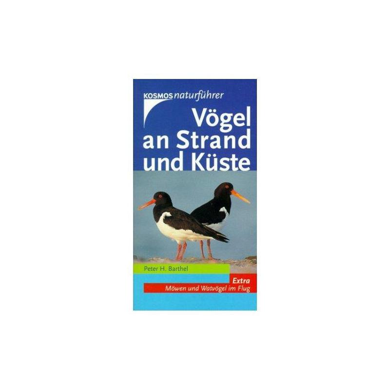 Kosmos Verlag Pássaros na praia e costa