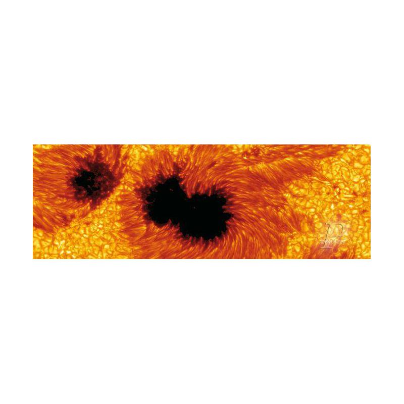 Palazzi Verlag Poster Manchas solares
