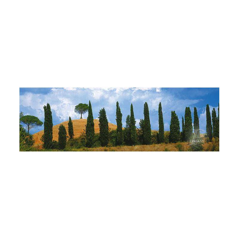 Palazzi Verlag Poster Val Dórica Tuscany impressão em tela