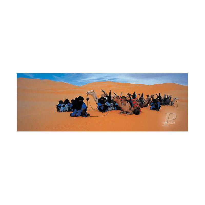 Palazzi Verlag Poster Tuareg Air Niger
