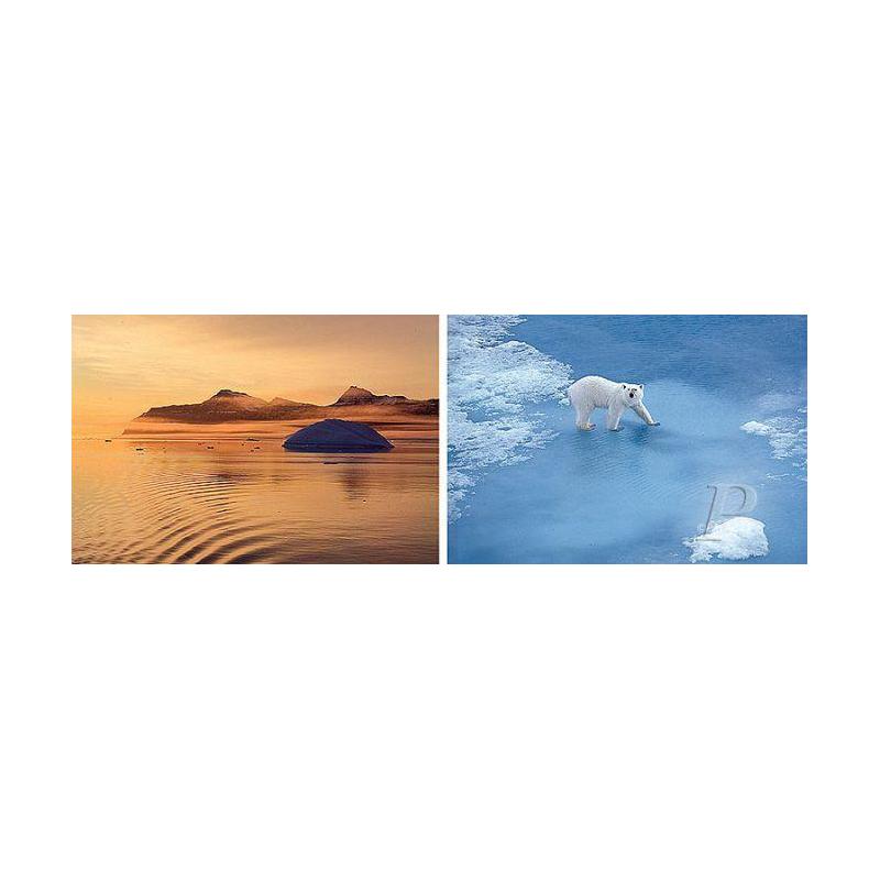 Palazzi Verlag Poster Thule Polar Bear impressão em tela