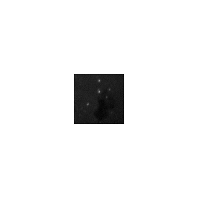 Orion Guia ótico adaptivo SteadyStar (formato grande)