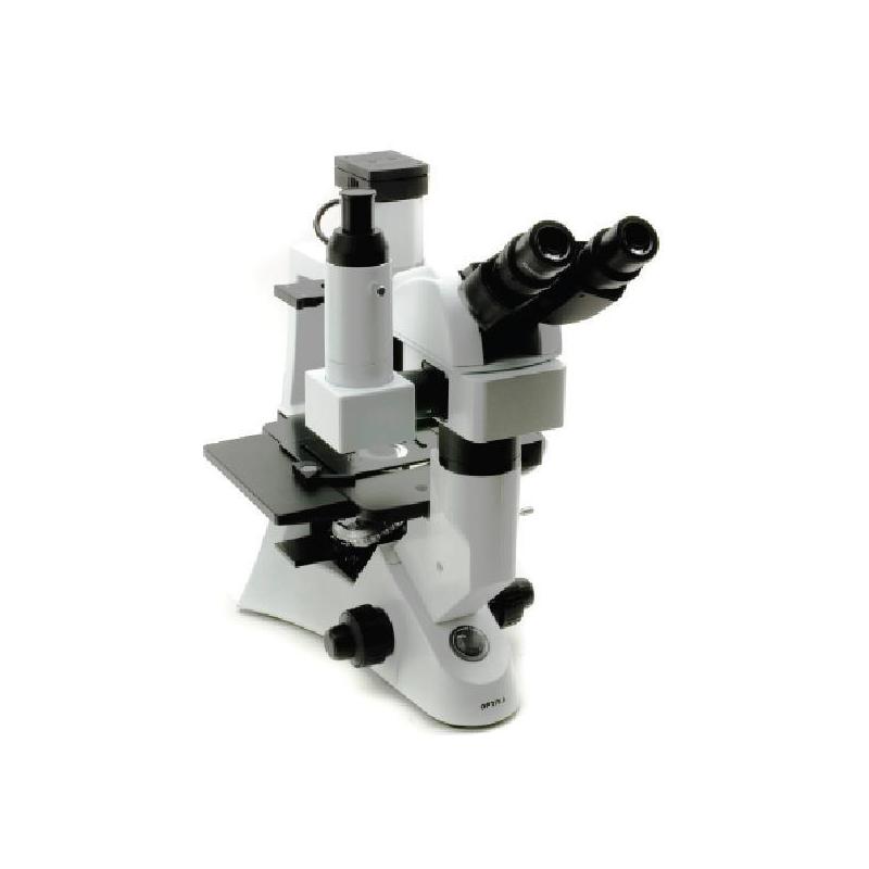 Optika XDS-2 ERGO, Microscópio inverso, con testa ergonomica, IOS, LWD, X-LED